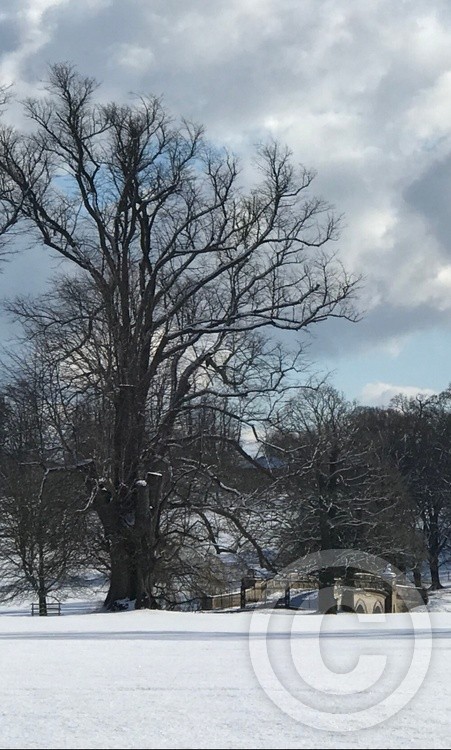 Over the bridge