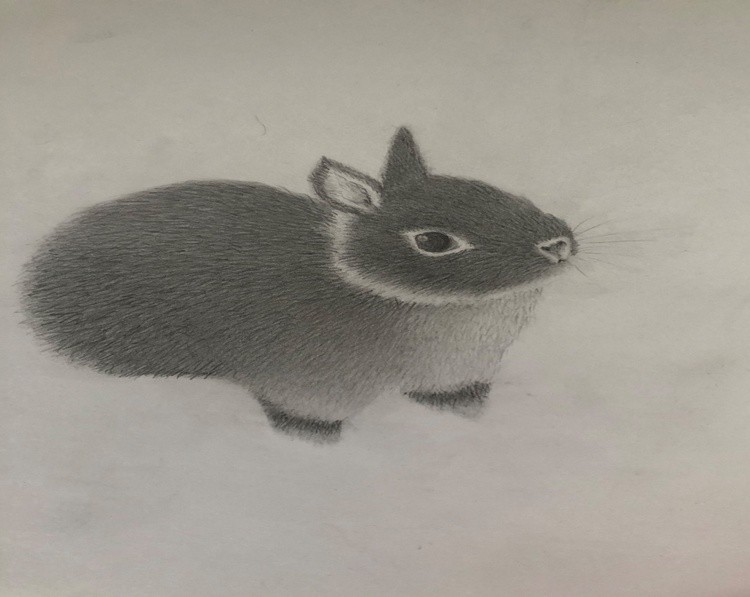 Little Oscar