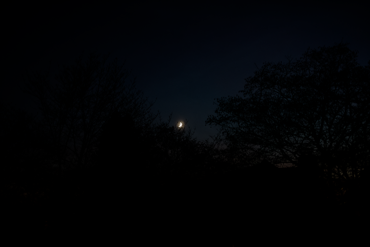 CRESCENTMOON2