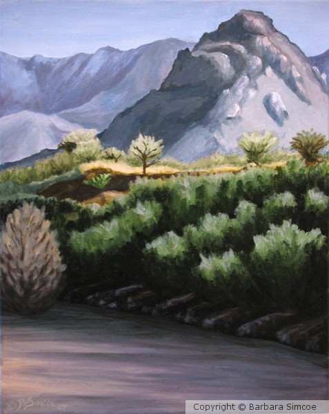 Catalina Mountains
