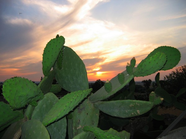 Maltese Sunset
