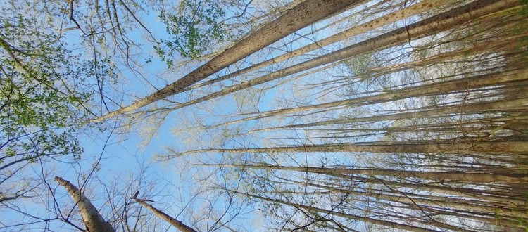 20230410 183201 HDR