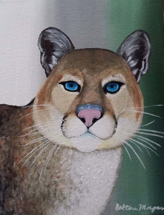Cougar on the Hunt