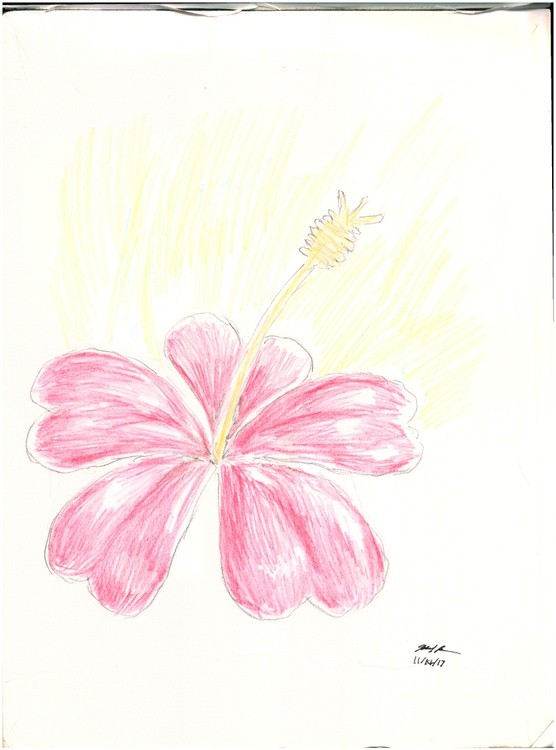 Beautiful Hearts Flower