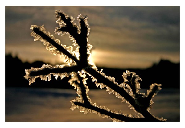 Ice crystals