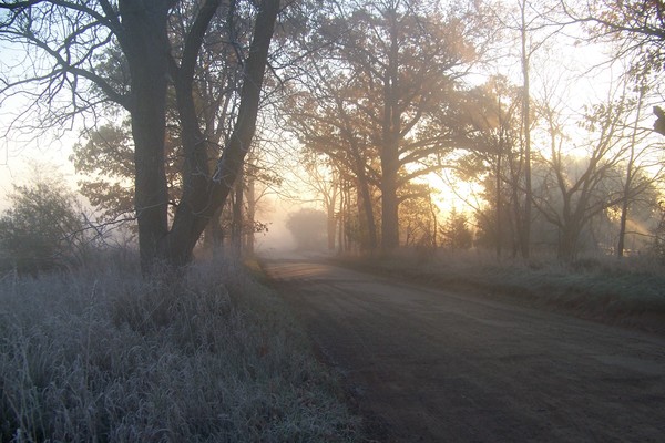 sun rise in michigan