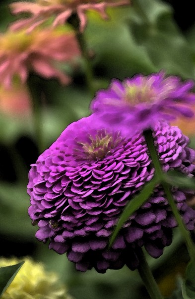 mum