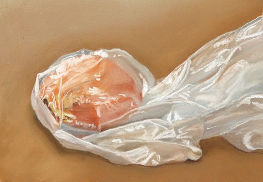 bagged onion