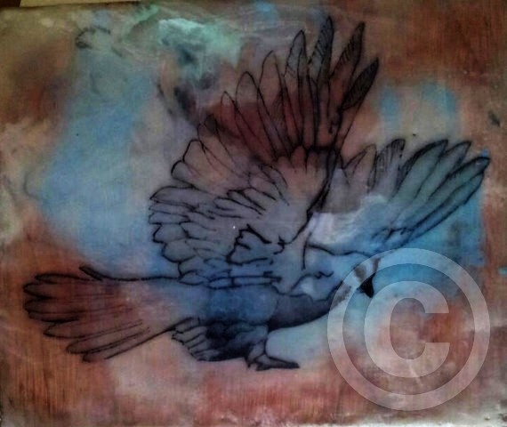 DOVE