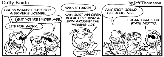 Any idiot can get a license