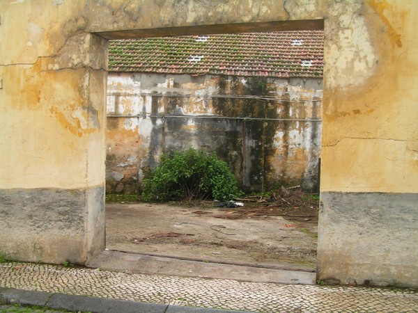 Doors of perception