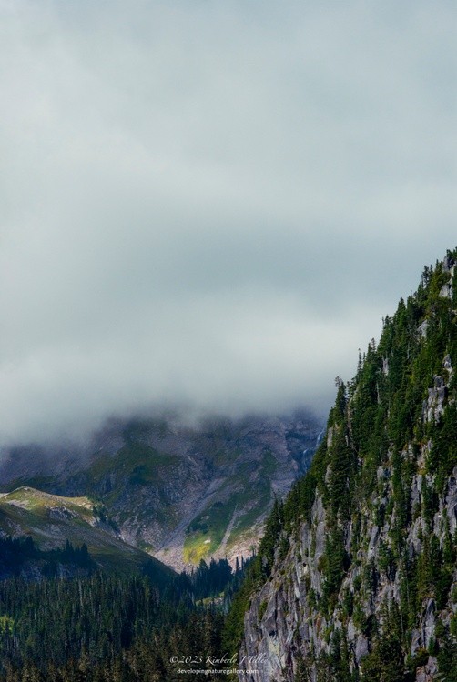 Rainier In The Clouds P2699