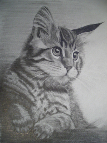 Kitty