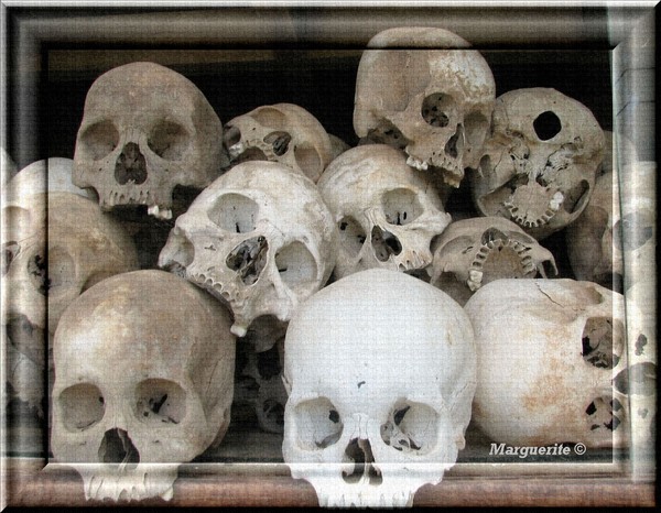 Killing Fields