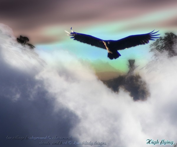 flying-high
