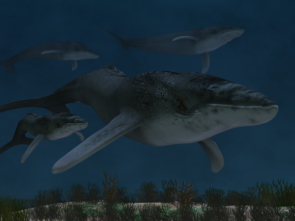 The Whales