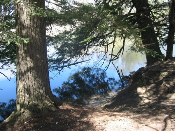 Lynde Marsh 3