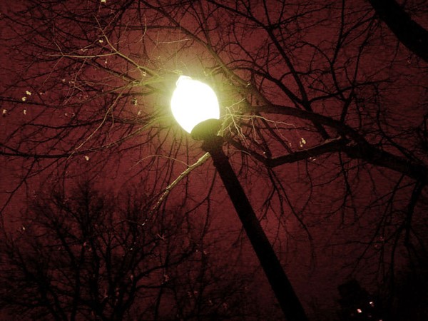 Street Light