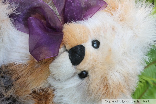Teddy Bear