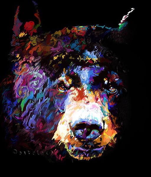 PaintedBlackBear