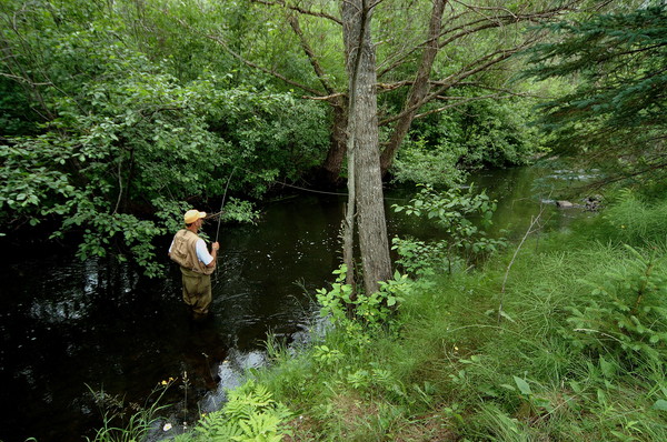 Just Fish'in. Iron River , Michigan