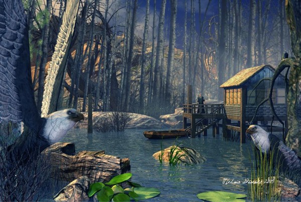 View From The Lake