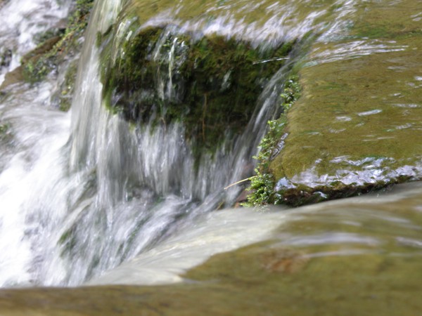 Close-up Water II