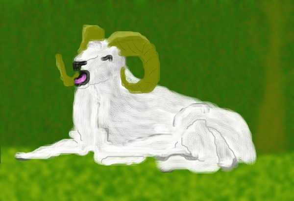 Baaaa  O649