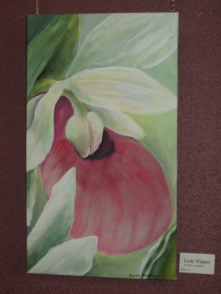 Lady Slipper