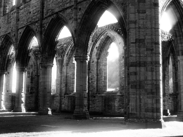 Arches and Light