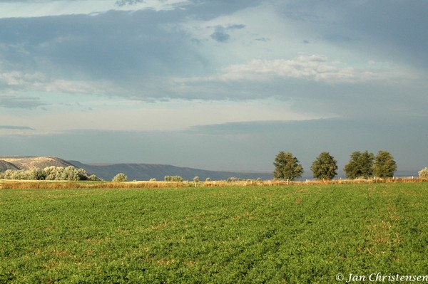 Idaho Farmland