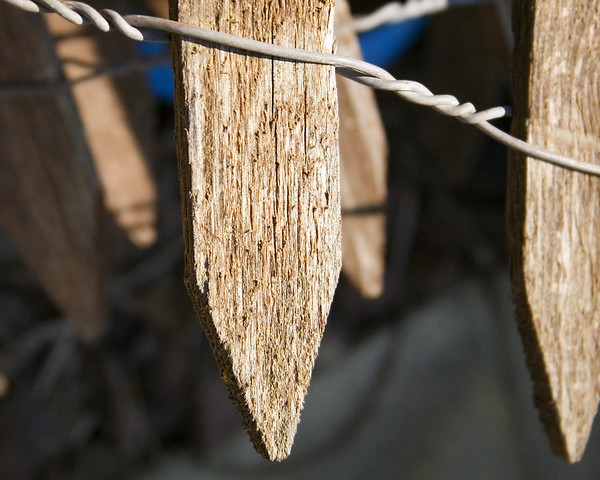 Bound Wooden Fence