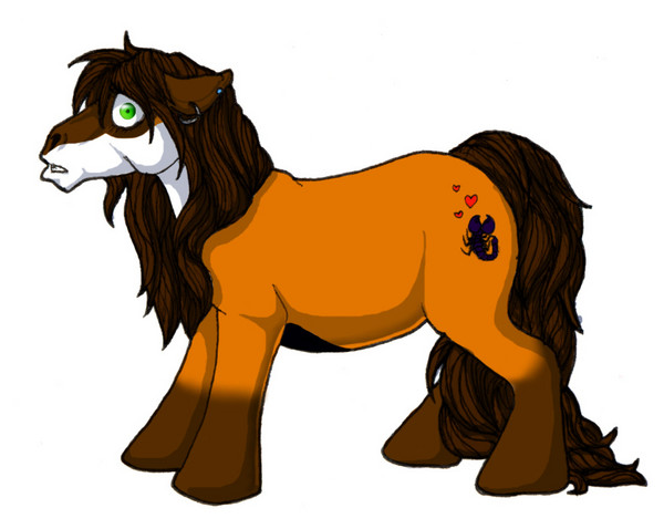Pony