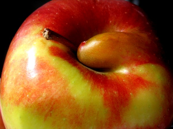 Adam's Apple