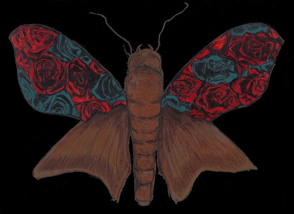 defmoth