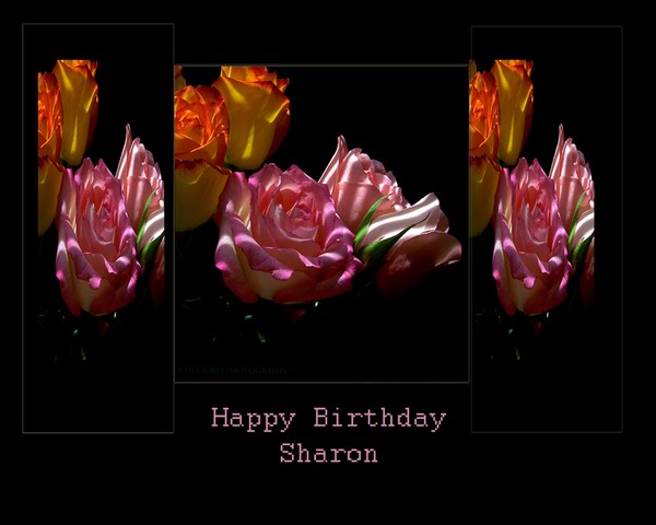 Happy Birthday Sharon