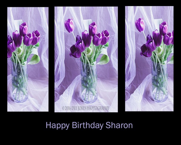 Happy Birthday Sharon