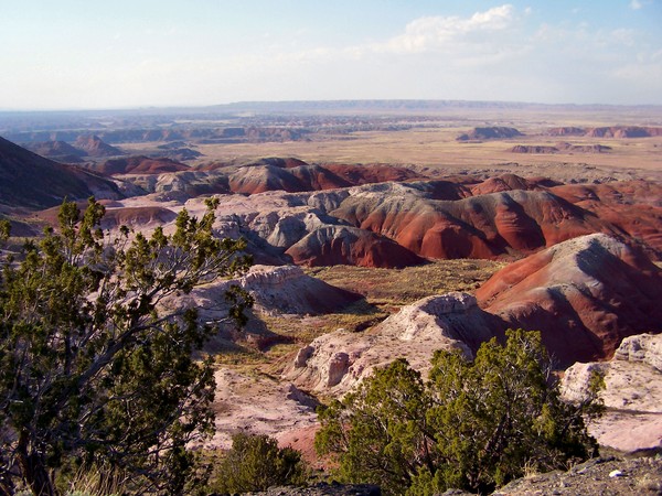 The Painted Desert