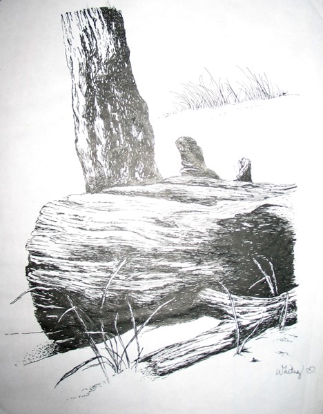 tree stump