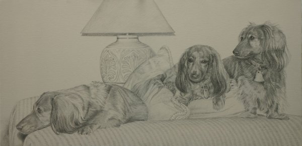 Pencil Pups