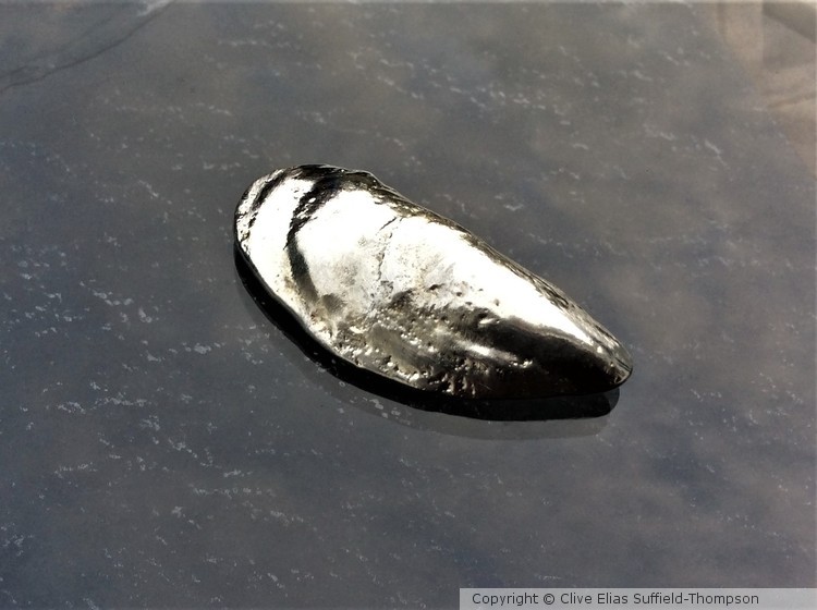 Mussel Shell / Pewter