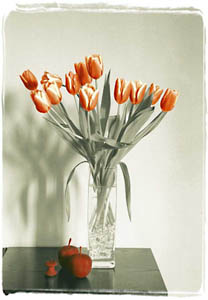 Tulips in Glass Vase