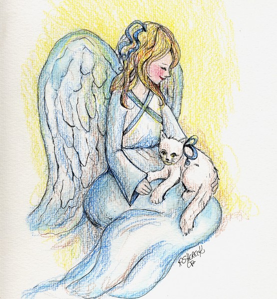 Angel and Kitten