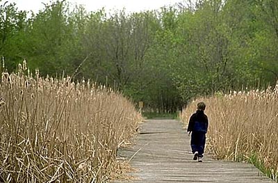 Boy on Path  Copyright Steven M. Anthony Photo