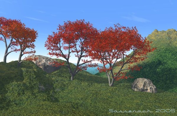 Red Maples at Skull Rock