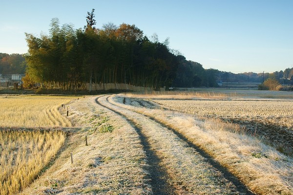 Country road, Higashi Matsuyama