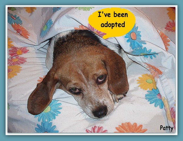 Shorty's Bedtime................