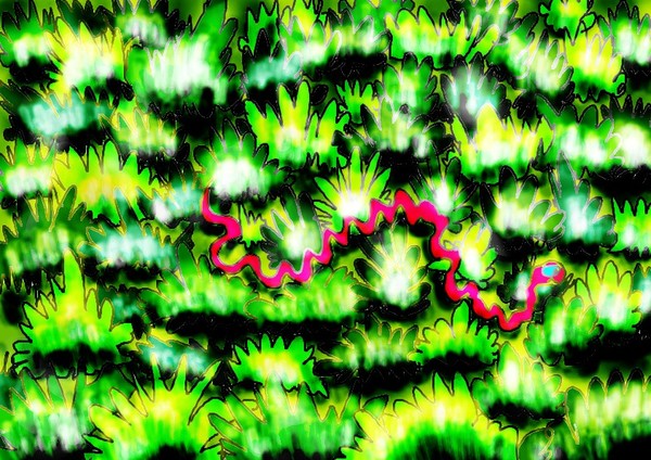 Snake In The Grass