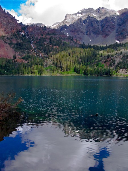 Greens and Blues of Green Lake