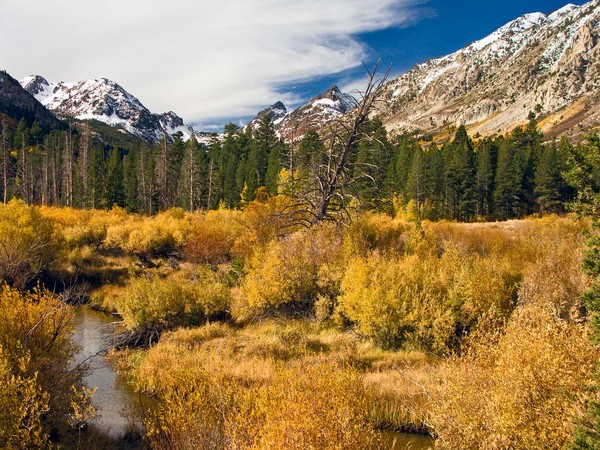 Green Creek in Autumn